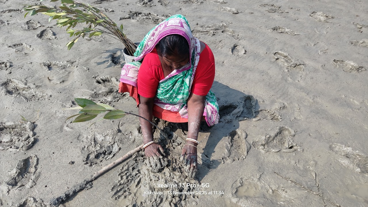 A farmer working in an arid field, representing regenerative agriculture.